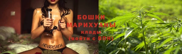 крисы Арсеньев