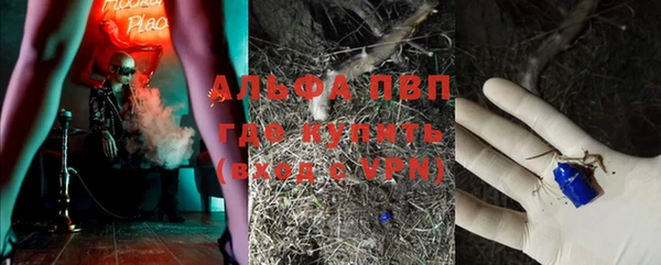 крисы Арсеньев